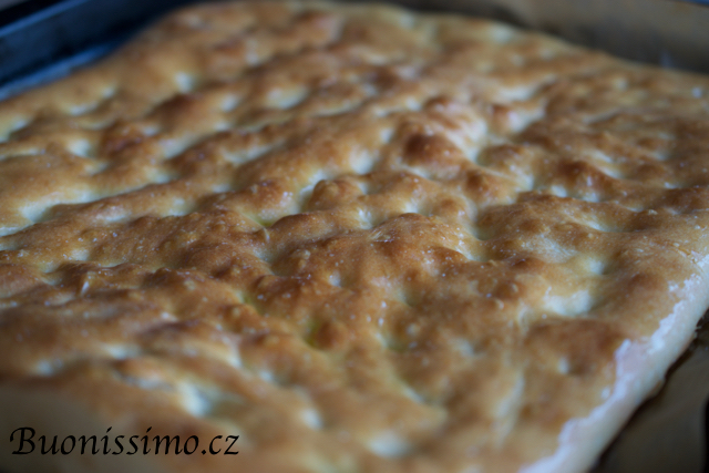 Cikorka
